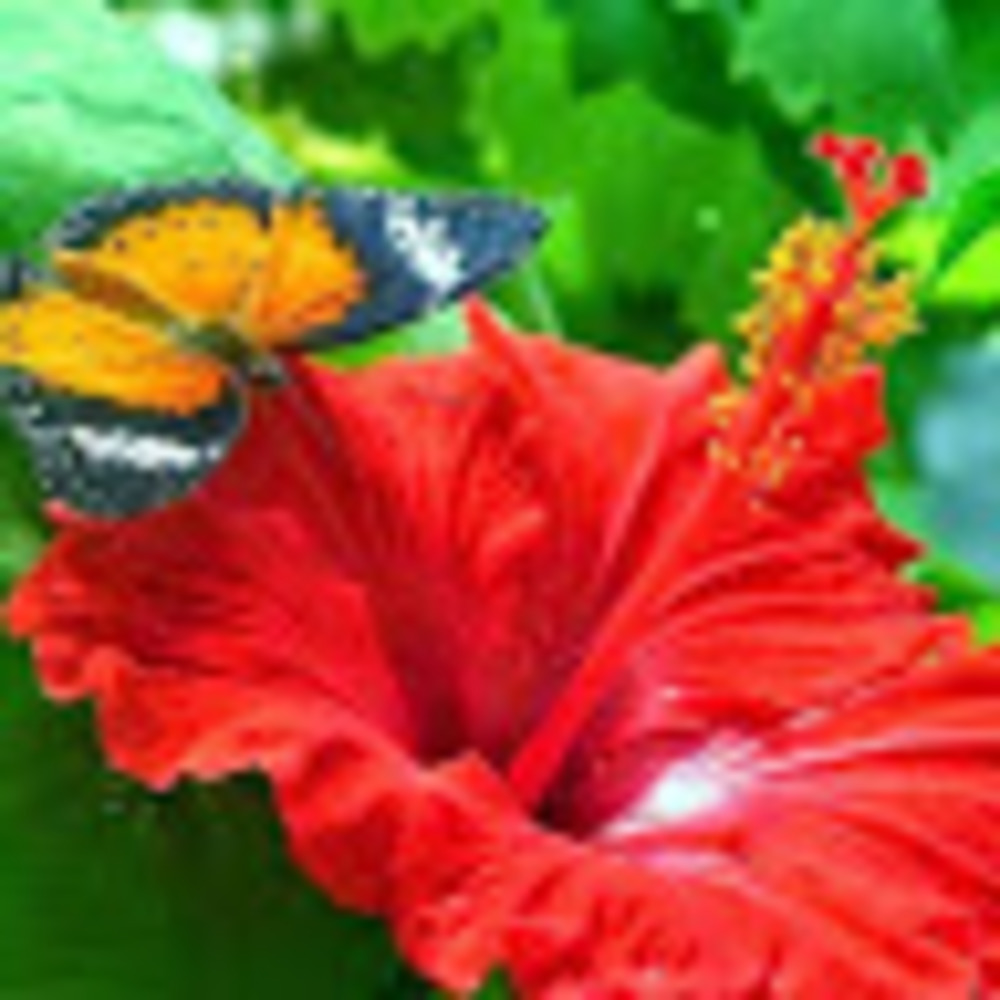 Meet your Posher, Maria